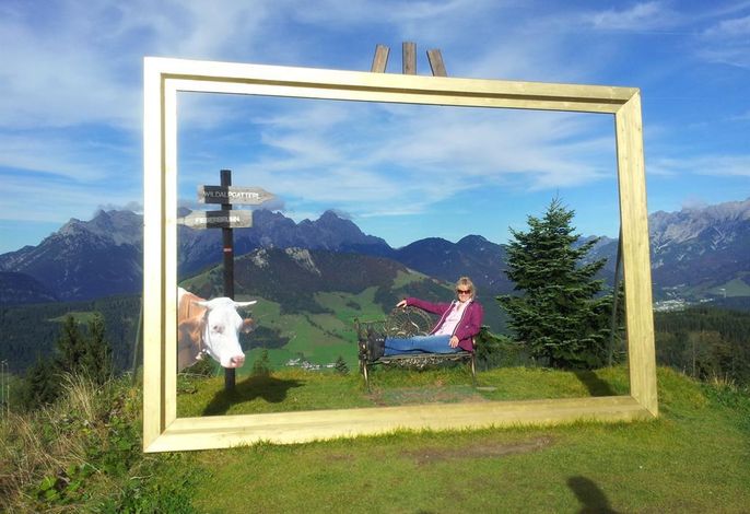 Bild 29