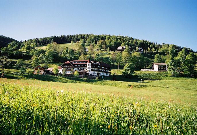 Bild 44