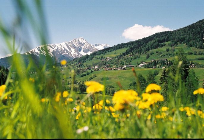 Bild 42
