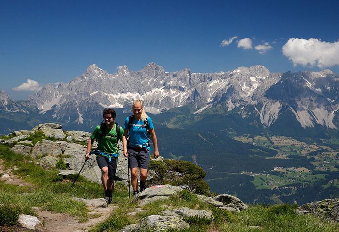 Bild 33