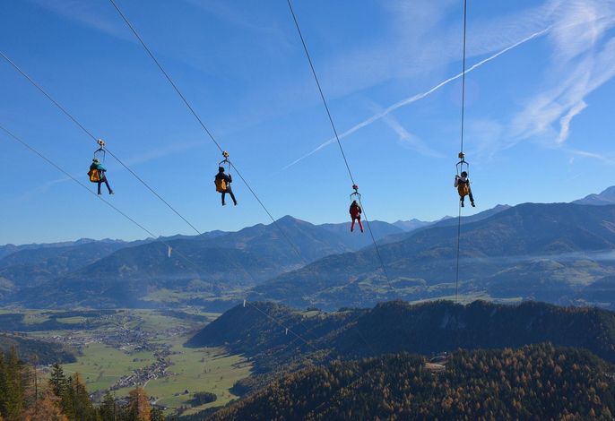 Bild 18