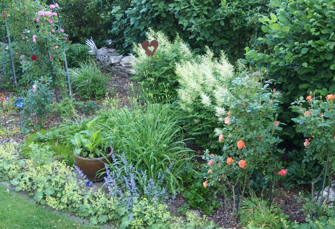 Bild 13