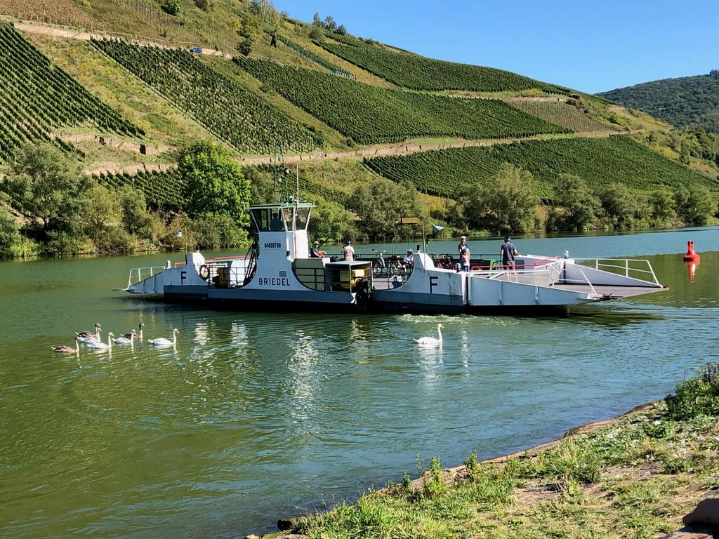 Ferienwohnungen Rees