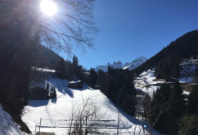 Bild 15
