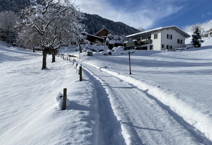 Bild 12