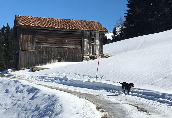 Bild 14