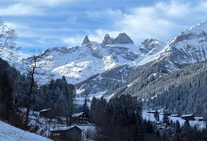 Bild 24