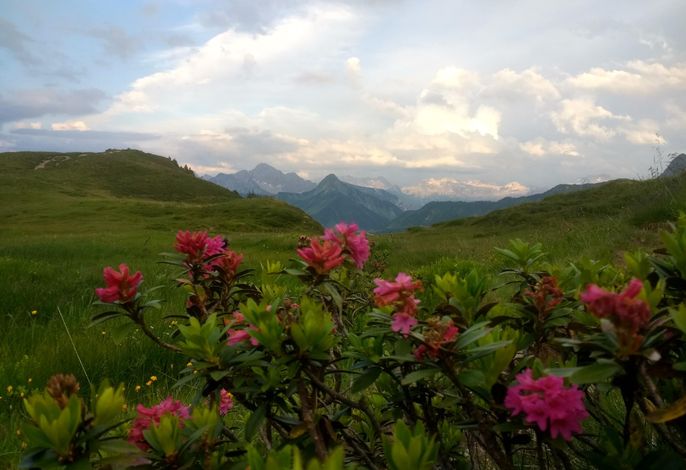 Bild 7