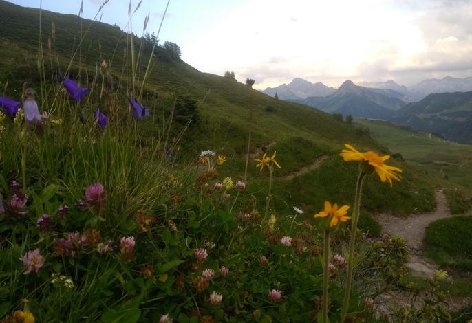 Bild 14