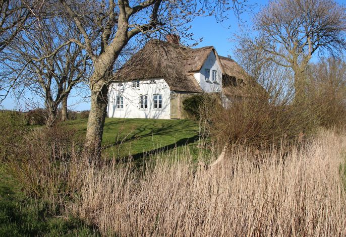Bild 14