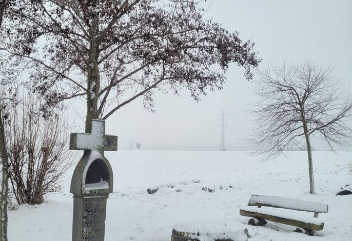 Bild 54