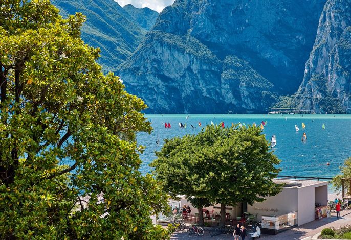 Bild 34