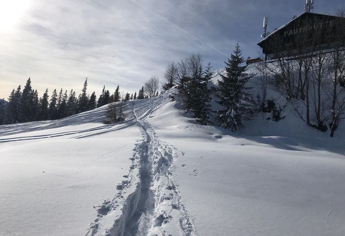 Bild 19