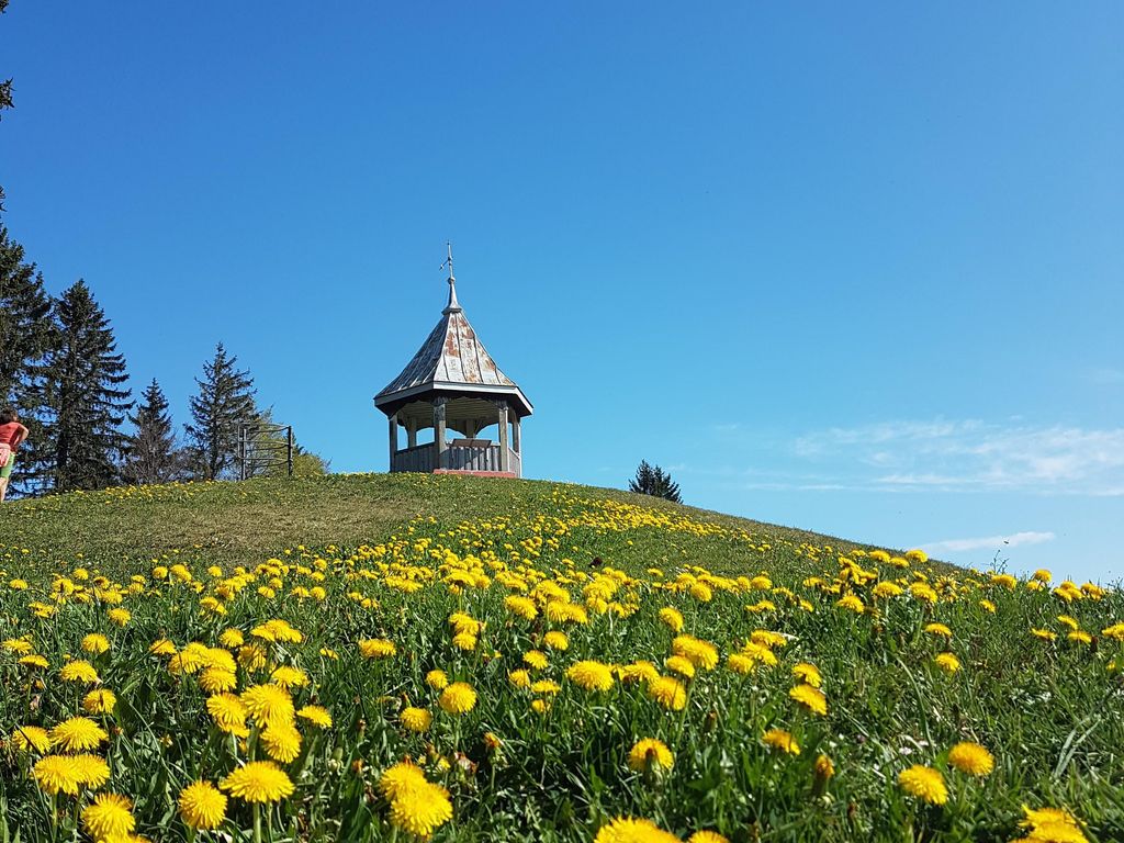 Ferienwohnungen Haus Vogl