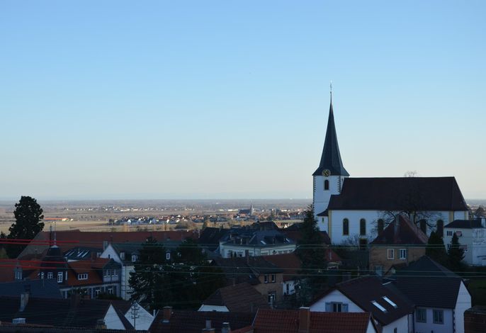 Bild 19