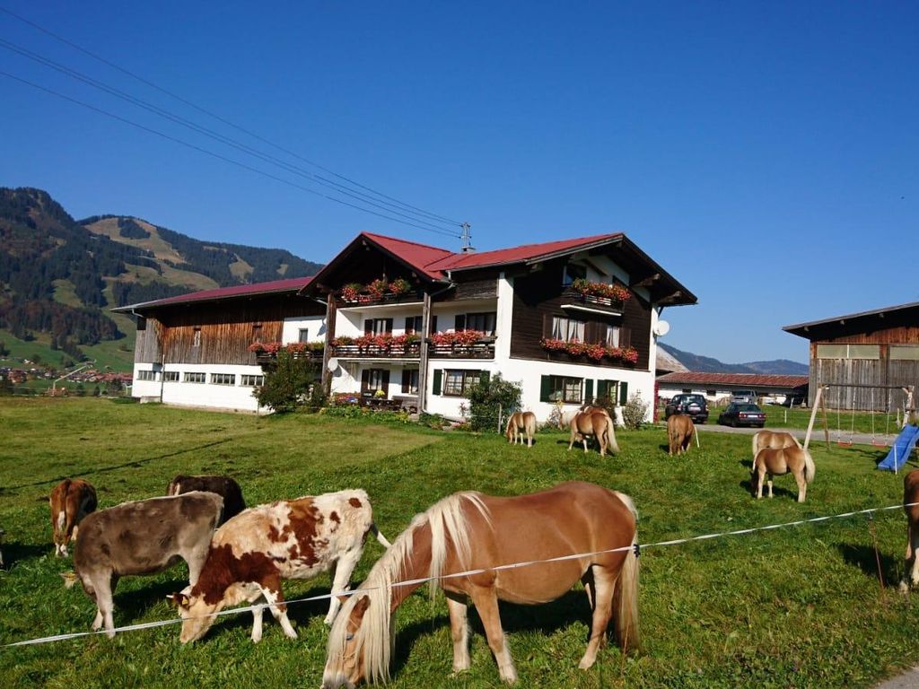 Haflinger Hof