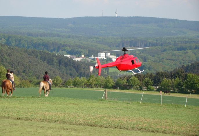 Bild 15