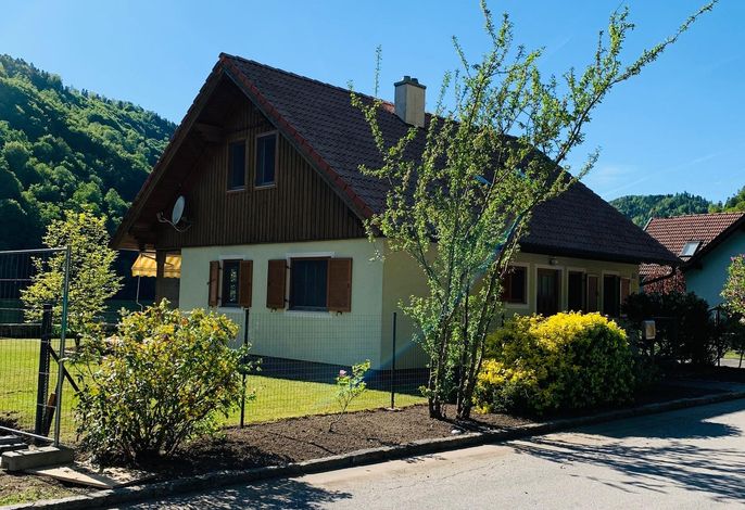 Bild 11