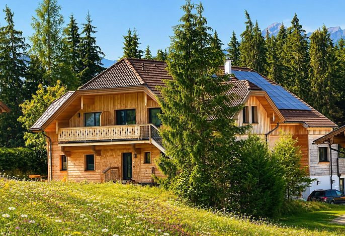 Appartement/Fewo, Bad, WC, 4 Schlafräume