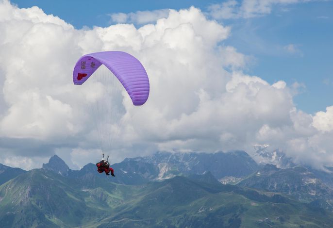 Bild 61