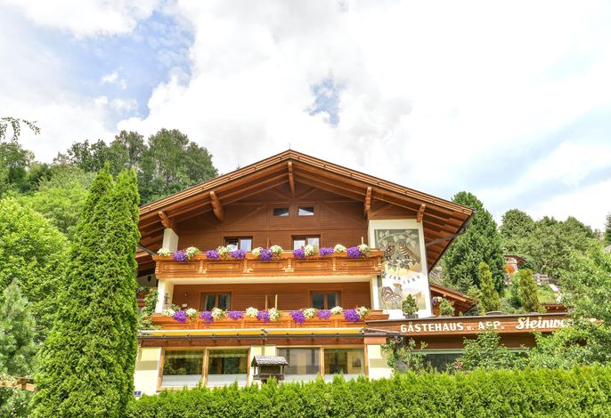 Pension & Appartement Steinwender Hotel Garni – Foto 5