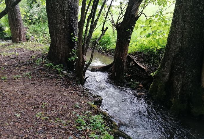 Bild 12