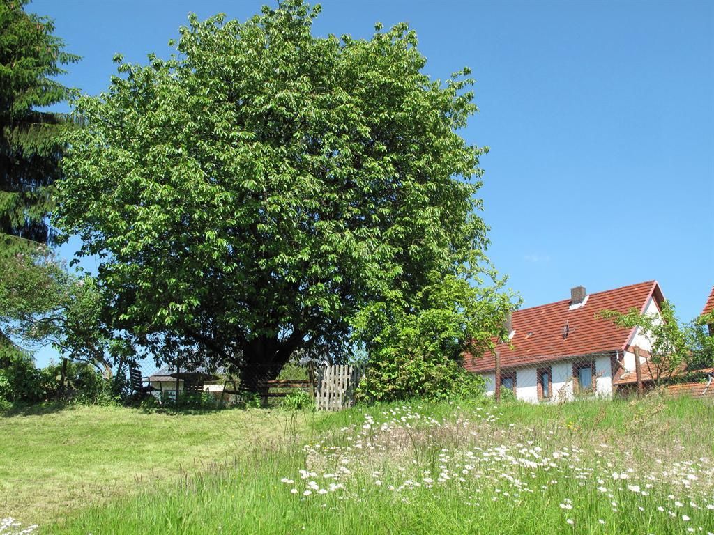 Ferienhaus Altes Schifferhaus