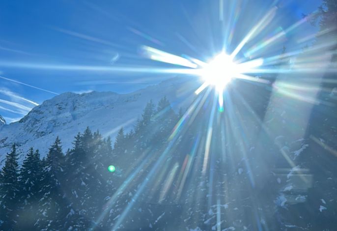 Bild 19