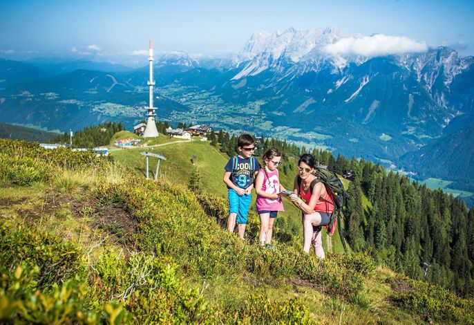 Bild 18