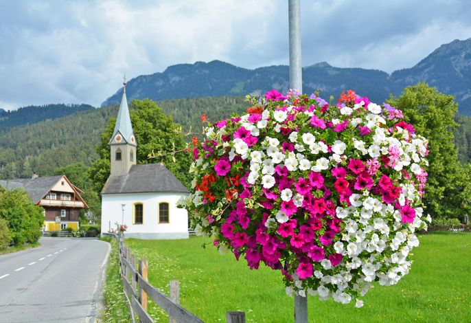 Bild 16