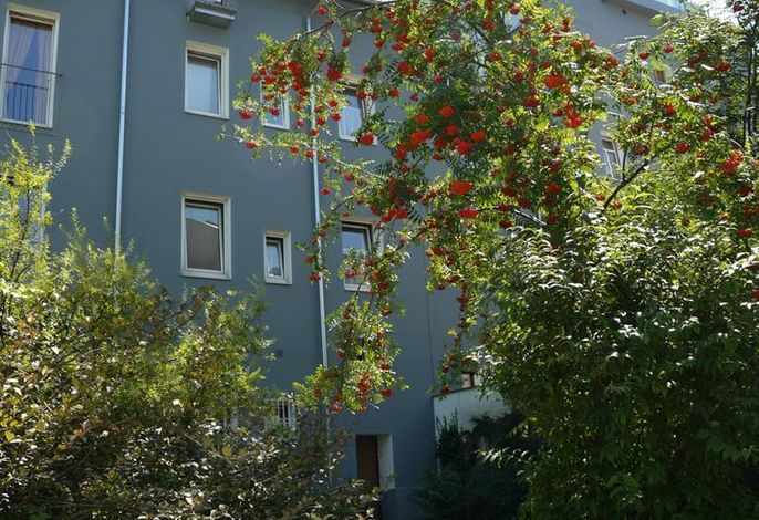 Bild 15