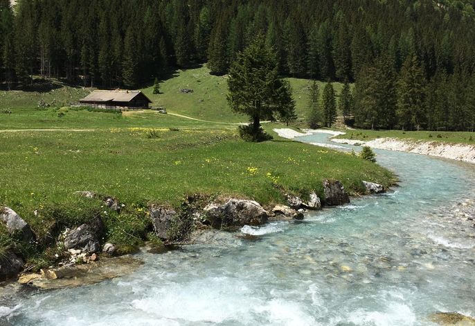 Bild 15