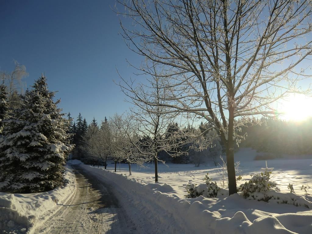 KiEZ Waldpark Grünheide