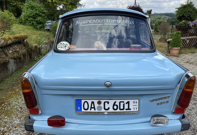 Bild 15