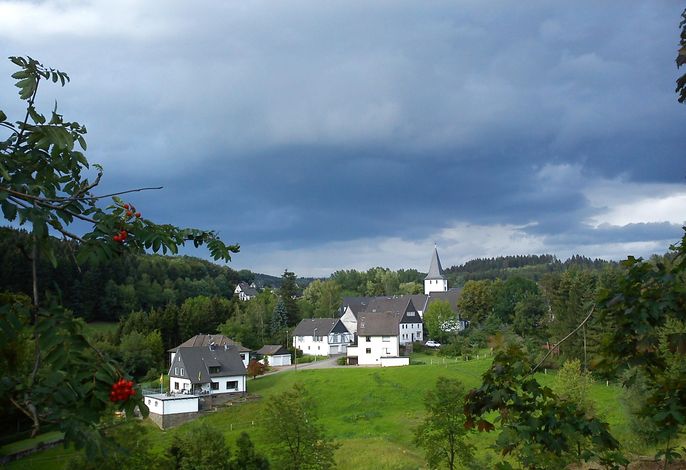 Bild 7