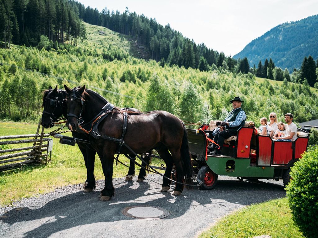 Hotel Gut Trattlerhof & Chalets****S