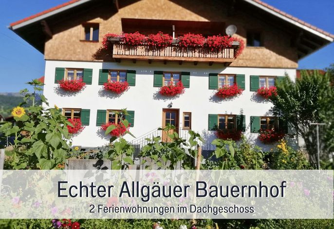 Ferienwohnung Daumen