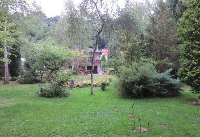 Bild 15