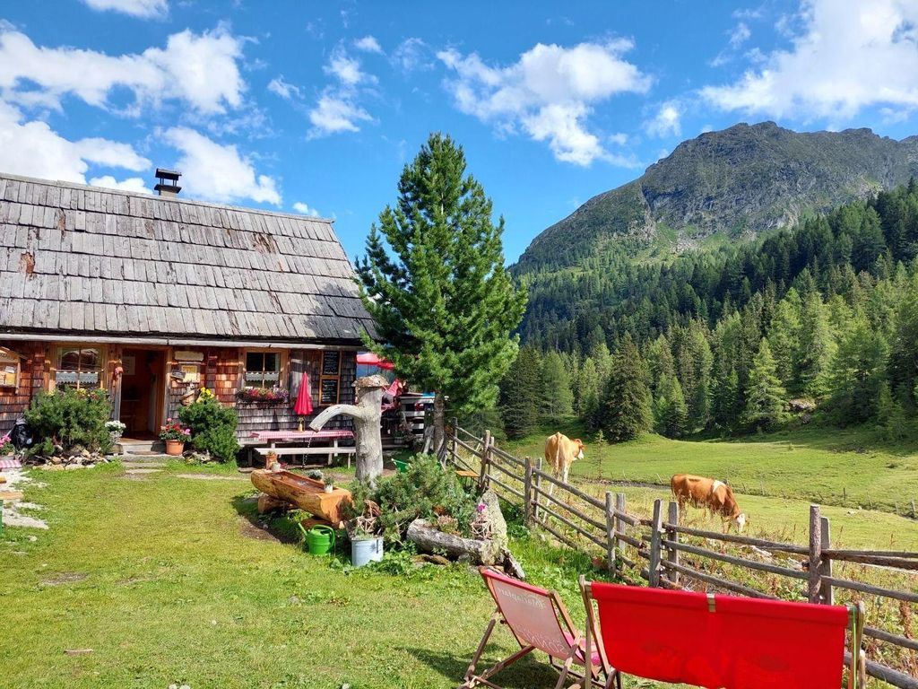 Macheiner, Tonimörtlhof