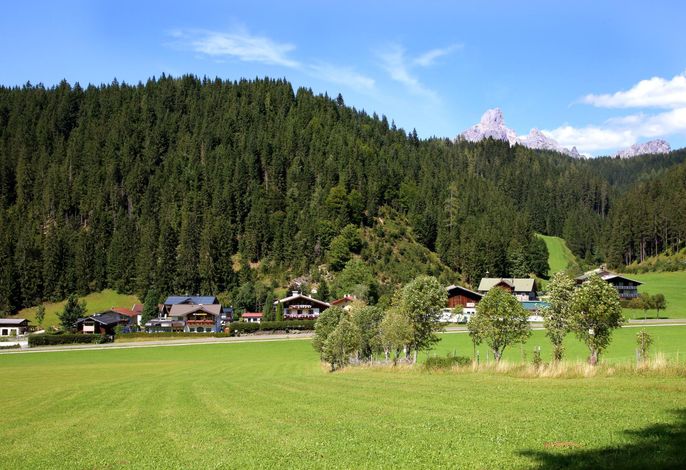 Bild 12