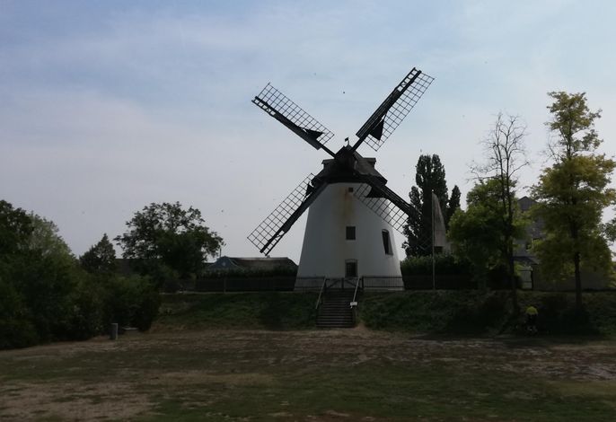 Bild 5