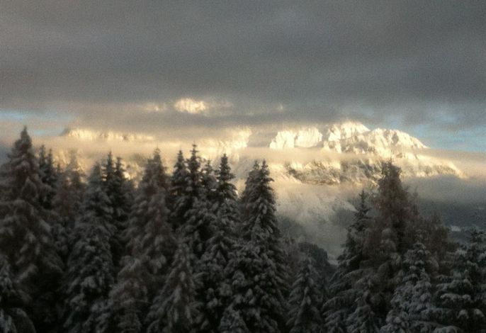 Bild 47