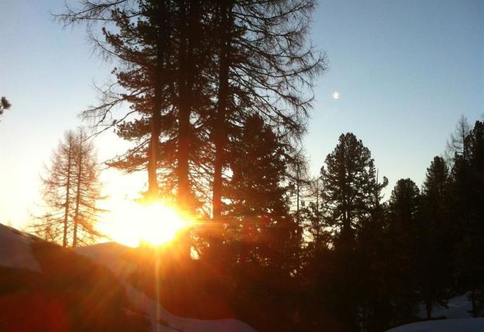 Bild 46