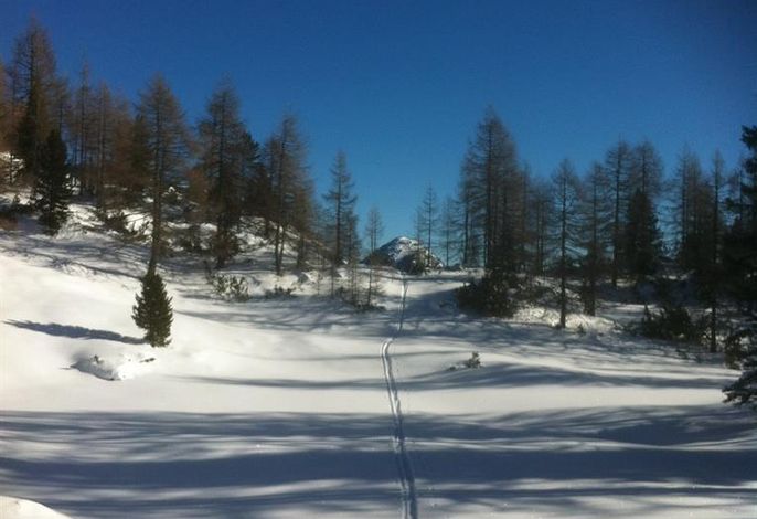 Bild 29