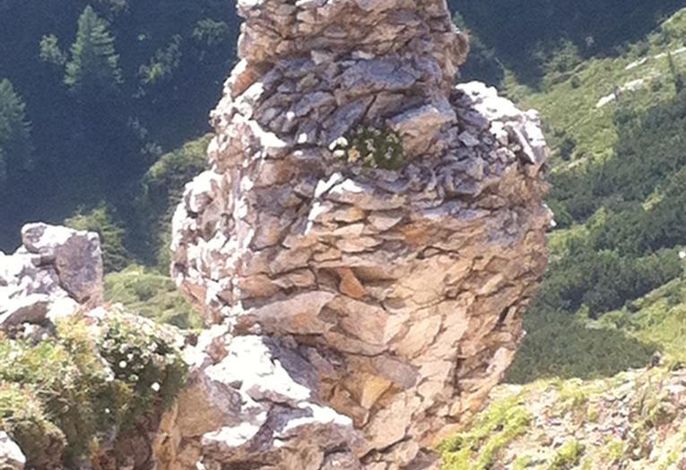 Bild 45