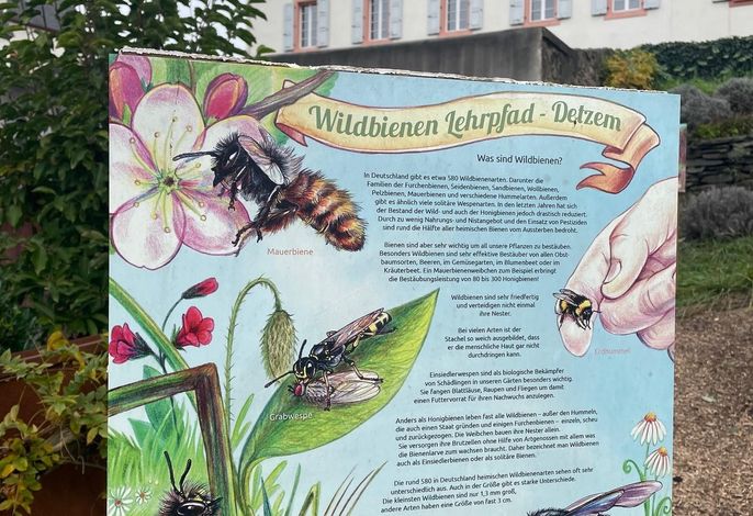 Bild 12