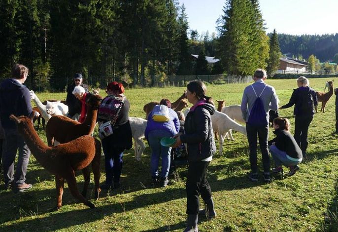 Bild 19
