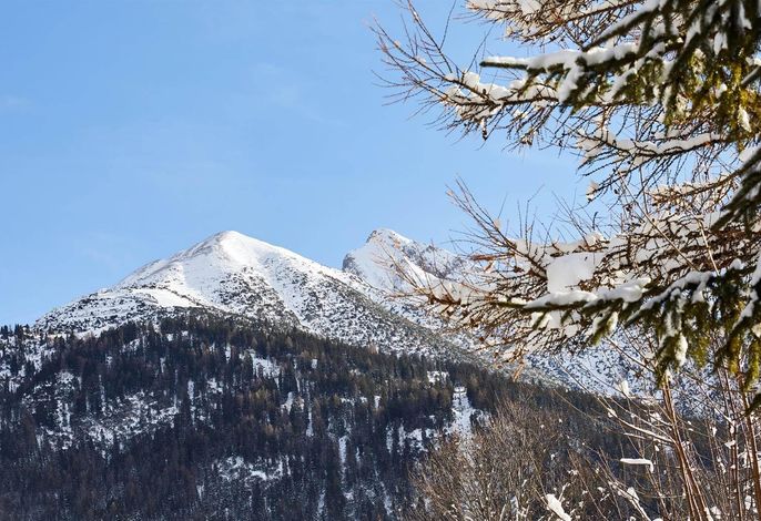 Bild 7