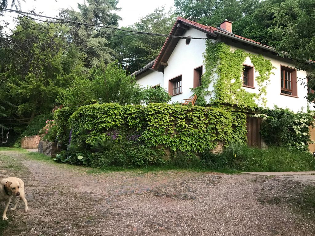 Ferienwohnung Grün und Aussichtsreich
