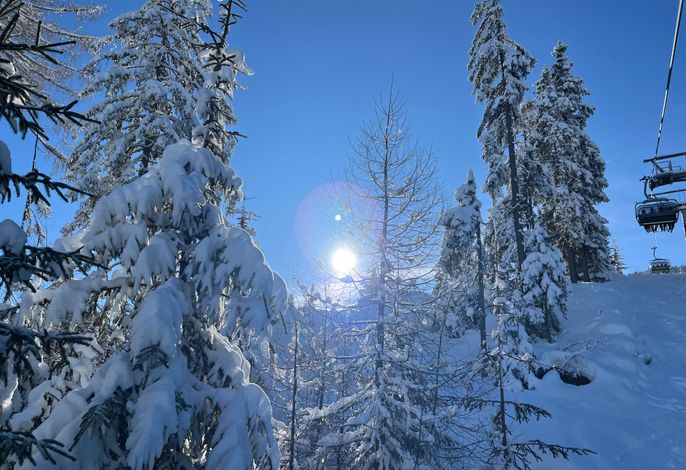 Bild 16